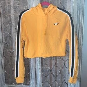 Hollister cropped sweatshirt